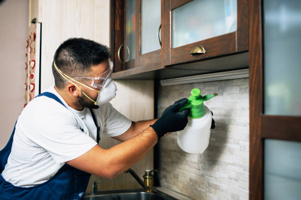 Best Wildlife Control Services  in Muse, PA