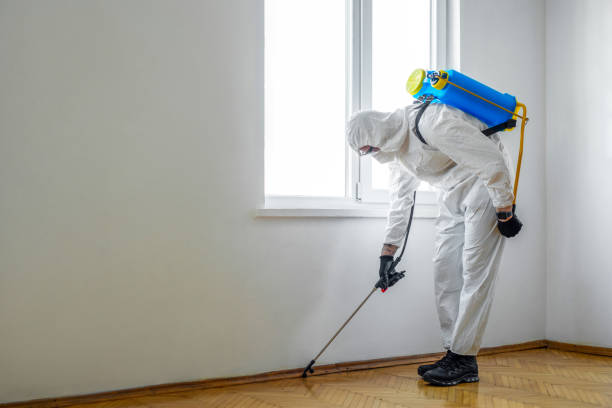 Best Pest Control for Businesses  in Muse, PA