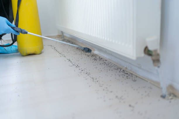 Pest Control for Restaurants in Muse, PA