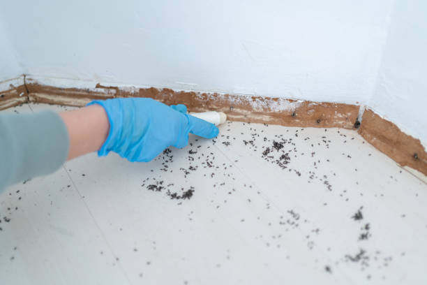 Best Bed Bug Extermination  in Muse, PA